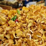 Hvordan undgår jeg at beskadige mine svampe, når jeg renser dem med en svampebørste?